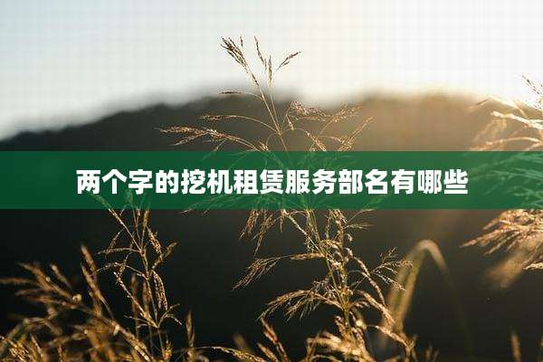 两个字的挖机租赁服务部名有哪些