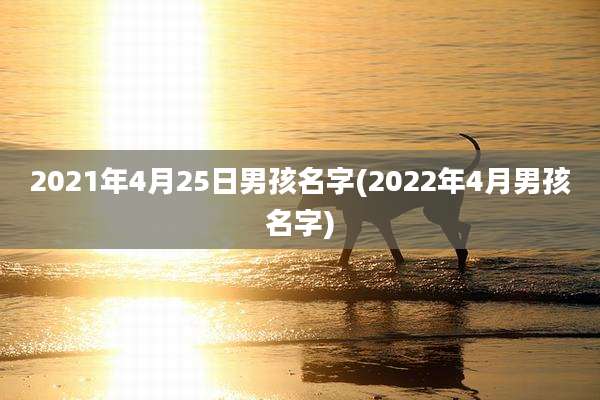 2021年4月25日男孩名字(2022年4月男孩名字)