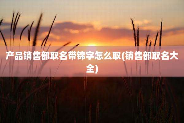 产品销售部取名带锦字怎么取(销售部取名大全)