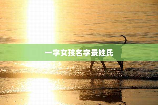 一字女孩名字景姓氏