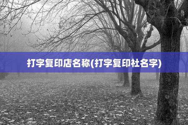 打字复印店名称(打字复印社名字)