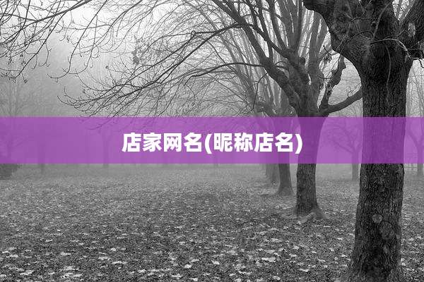 店家网名(昵称店名)