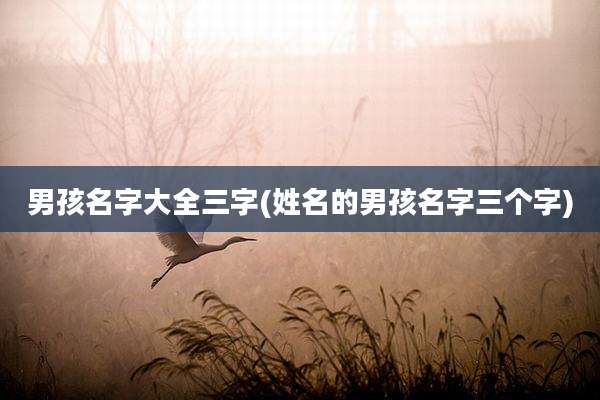 男孩名字大全三字(姓名的男孩名字三个字)