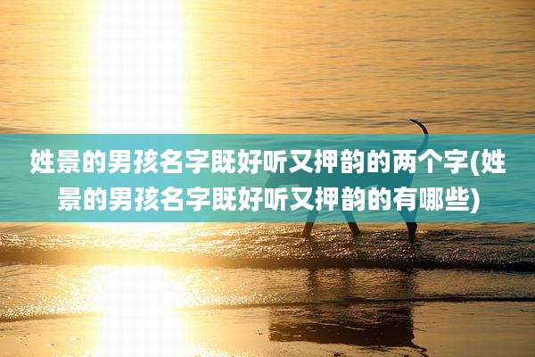 姓景的男孩名字既好听又押韵的两个字(姓景的男孩名字既好听又押韵的有哪些)