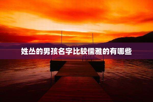 姓丛的男孩名字比较儒雅的有哪些