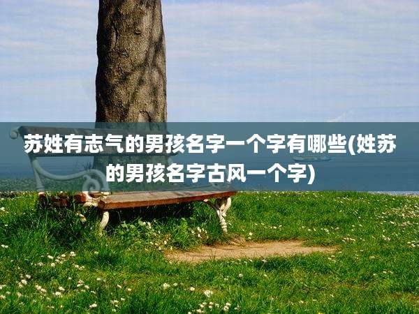 苏姓有志气的男孩名字一个字有哪些(姓苏的男孩名字古风一个字)