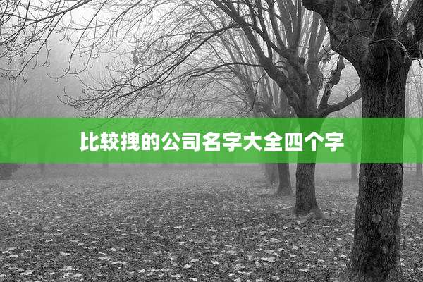 比较拽的公司名字大全四个字