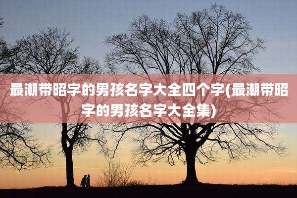最潮带昭字的男孩名字大全四个字(最潮带昭字的男孩名字大全集)