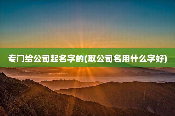 专门给公司起名字的(取公司名用什么字好)