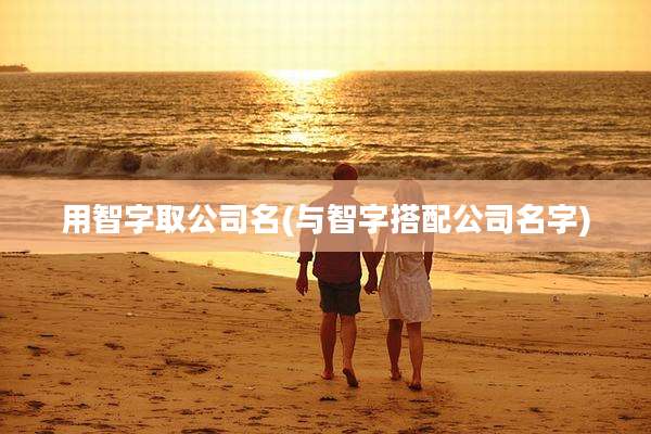 用智字取公司名(与智字搭配公司名字)