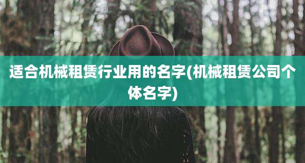 适合机械租赁行业用的名字(机械租赁公司个体名字)