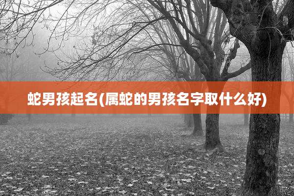 蛇男孩起名(属蛇的男孩名字取什么好)