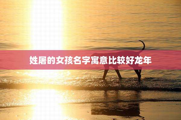 姓屠的女孩名字寓意比较好龙年