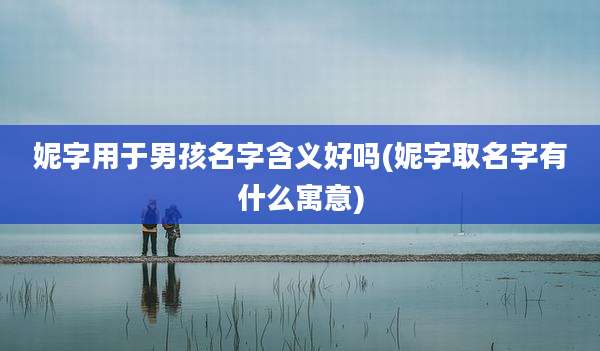 妮字用于男孩名字含义好吗(妮字取名字有什么寓意)