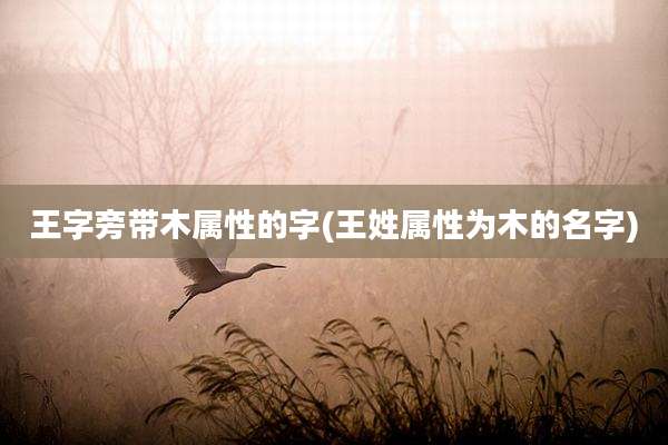 王字旁带木属性的字(王姓属性为木的名字)
