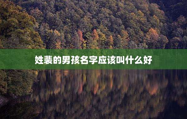 姓裴的男孩名字应该叫什么好