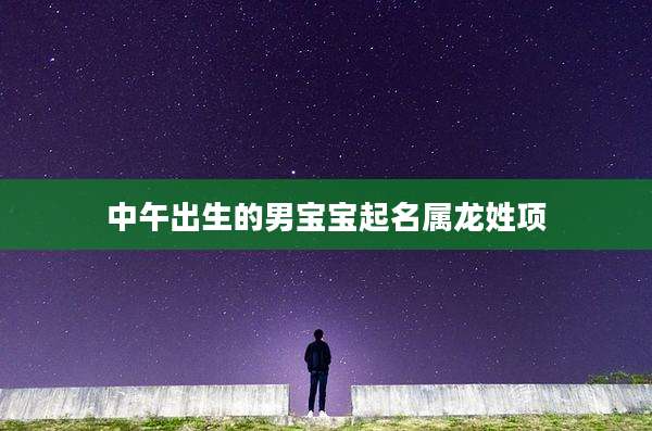 中午出生的男宝宝起名属龙姓项