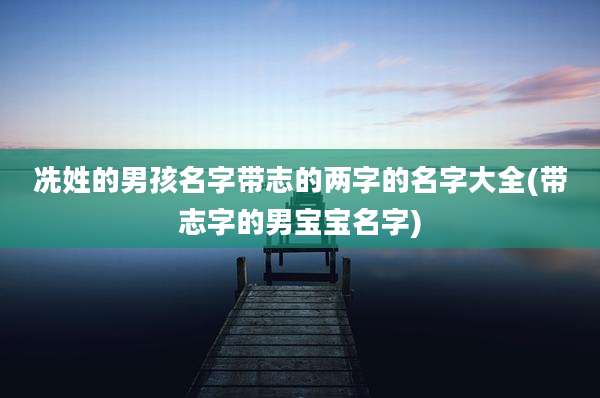 冼姓的男孩名字带志的两字的名字大全(带志字的男宝宝名字)