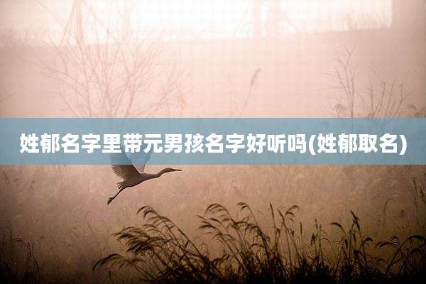 姓郁名字里带元男孩名字好听吗(姓郁取名)