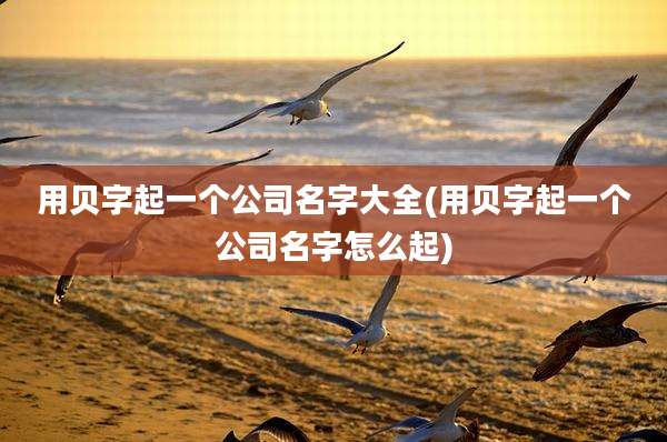 用贝字起一个公司名字大全(用贝字起一个公司名字怎么起)