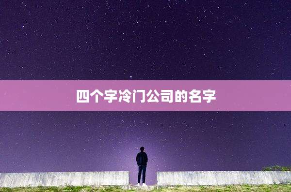 四个字冷门公司的名字