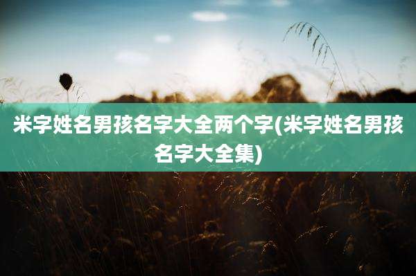 米字姓名男孩名字大全两个字(米字姓名男孩名字大全集)