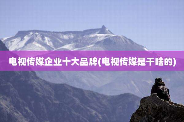 电视传媒企业十大品牌(电视传媒是干啥的)