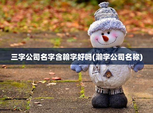 三字公司名字含翰字好吗(瀚字公司名称)