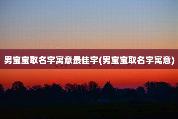 男宝宝取名字寓意最佳字(男宝宝取名字寓意)
