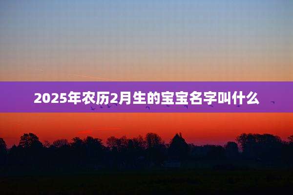 2025年农历2月生的宝宝名字叫什么