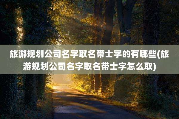 旅游规划公司名字取名带士字的有哪些(旅游规划公司名字取名带士字怎么取)
