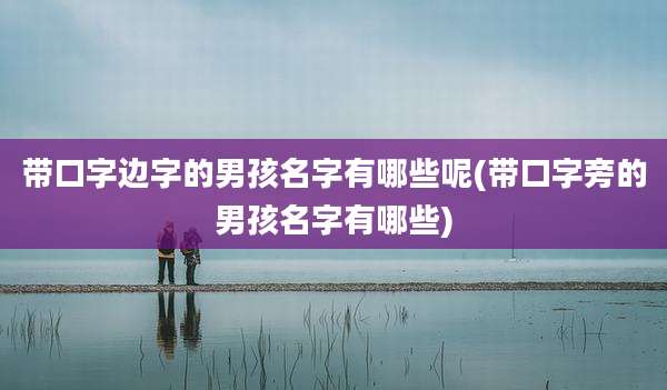 带口字边字的男孩名字有哪些呢(带口字旁的男孩名字有哪些)