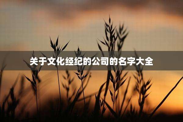 关于文化经纪的公司的名字大全