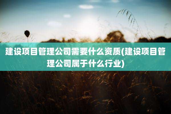 建设项目管理公司需要什么资质(建设项目管理公司属于什么行业)