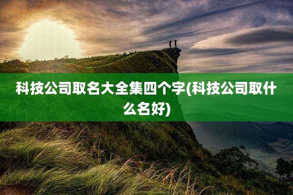 科技公司取名大全集四个字(科技公司取什么名好)