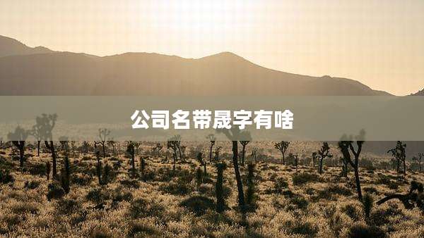 公司名带晟字有啥