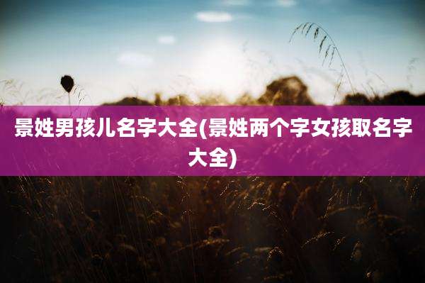 景姓男孩儿名字大全(景姓两个字女孩取名字大全)