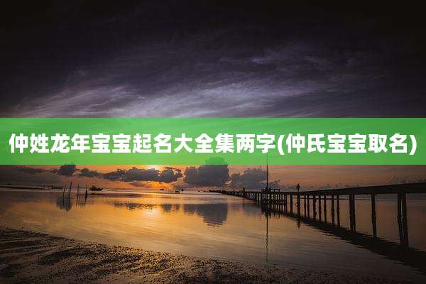 仲姓龙年宝宝起名大全集两字(仲氏宝宝取名)