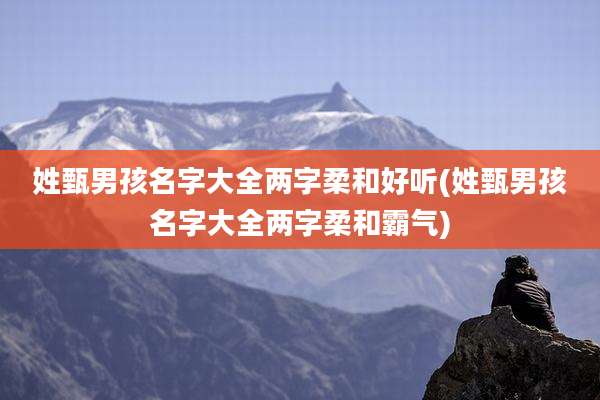 姓甄男孩名字大全两字柔和好听(姓甄男孩名字大全两字柔和霸气)