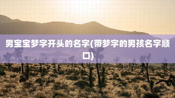 男宝宝梦字开头的名字(带梦字的男孩名字顺口)