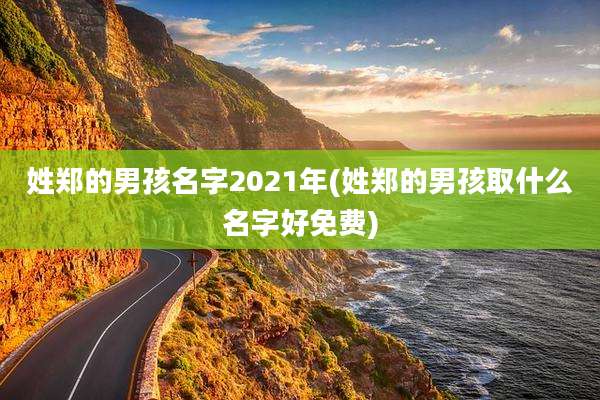 姓郑的男孩名字2021年(姓郑的男孩取什么名字好免费)