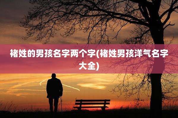 褚姓的男孩名字两个字(褚姓男孩洋气名字大全)