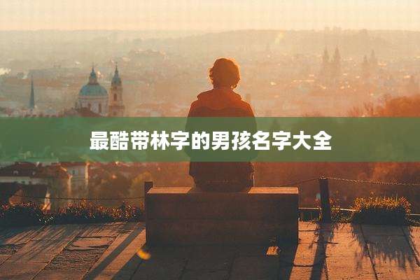 最酷带林字的男孩名字大全