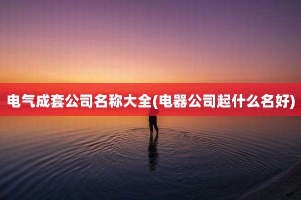 电气成套公司名称大全(电器公司起什么名好)