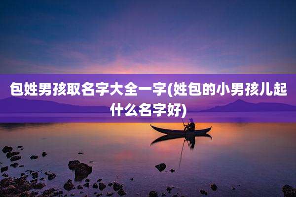 包姓男孩取名字大全一字(姓包的小男孩儿起什么名字好)