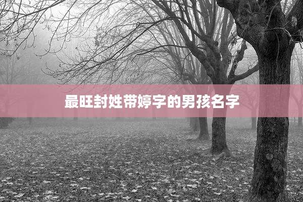 最旺封姓带婷字的男孩名字