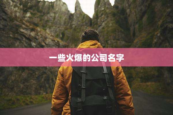 一些火爆的公司名字