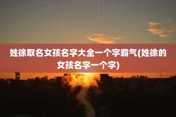 姓徐取名女孩名字大全一个字霸气(姓徐的女孩名字一个字)