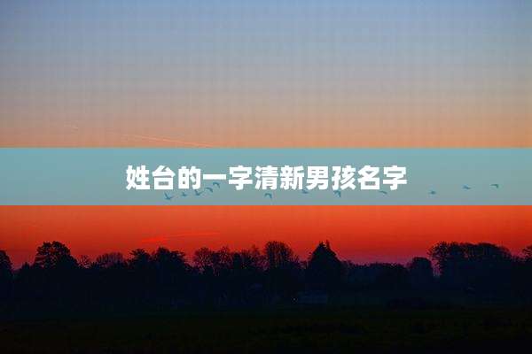 姓台的一字清新男孩名字
