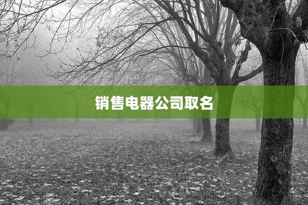 销售电器公司取名